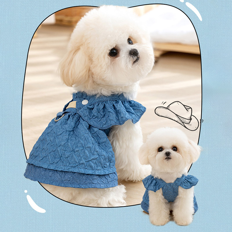 2025 Hoopreety Puppy Dog Cloth - مراجعة Summer Clothing List وسعره